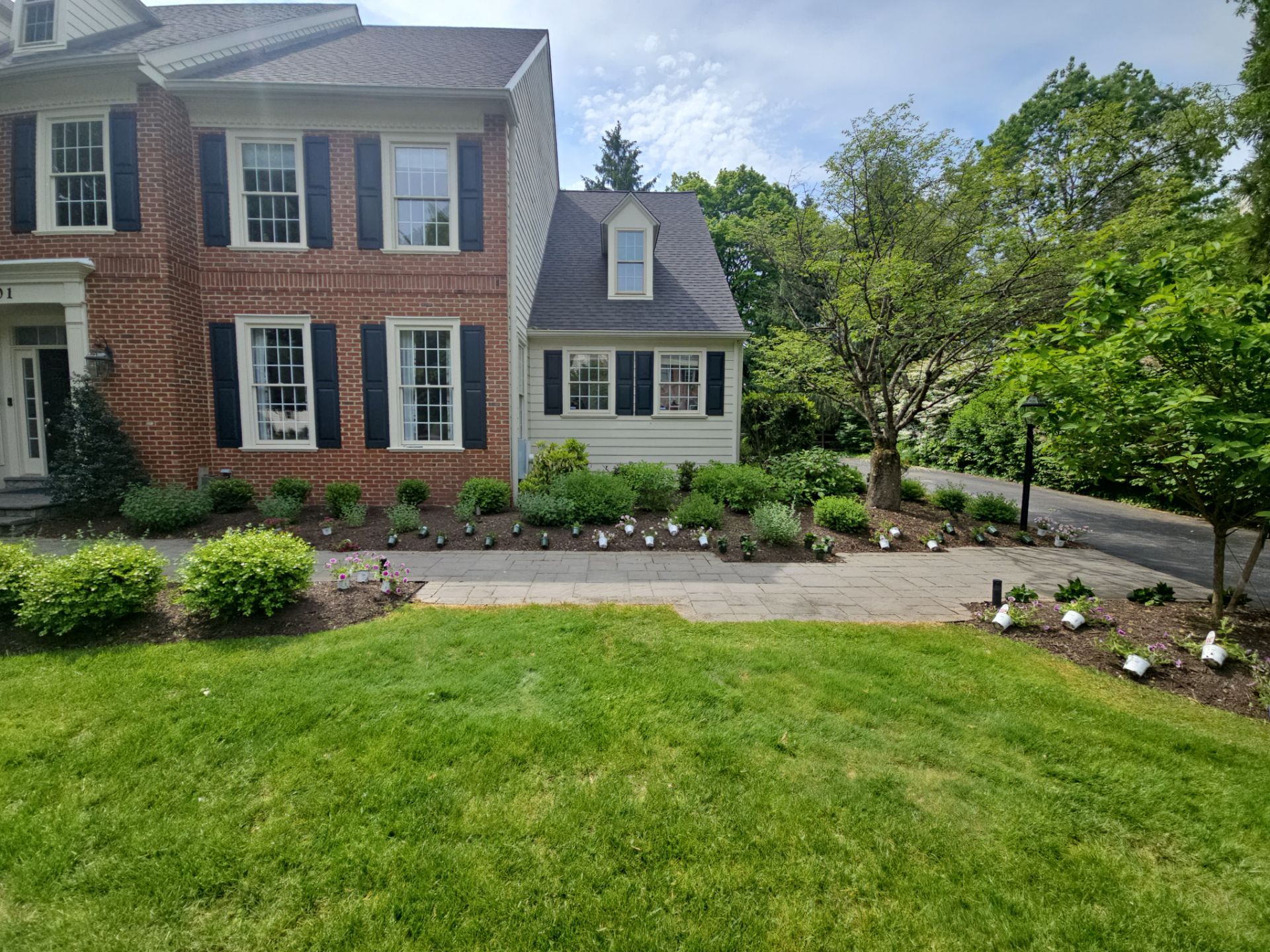 Landscape project