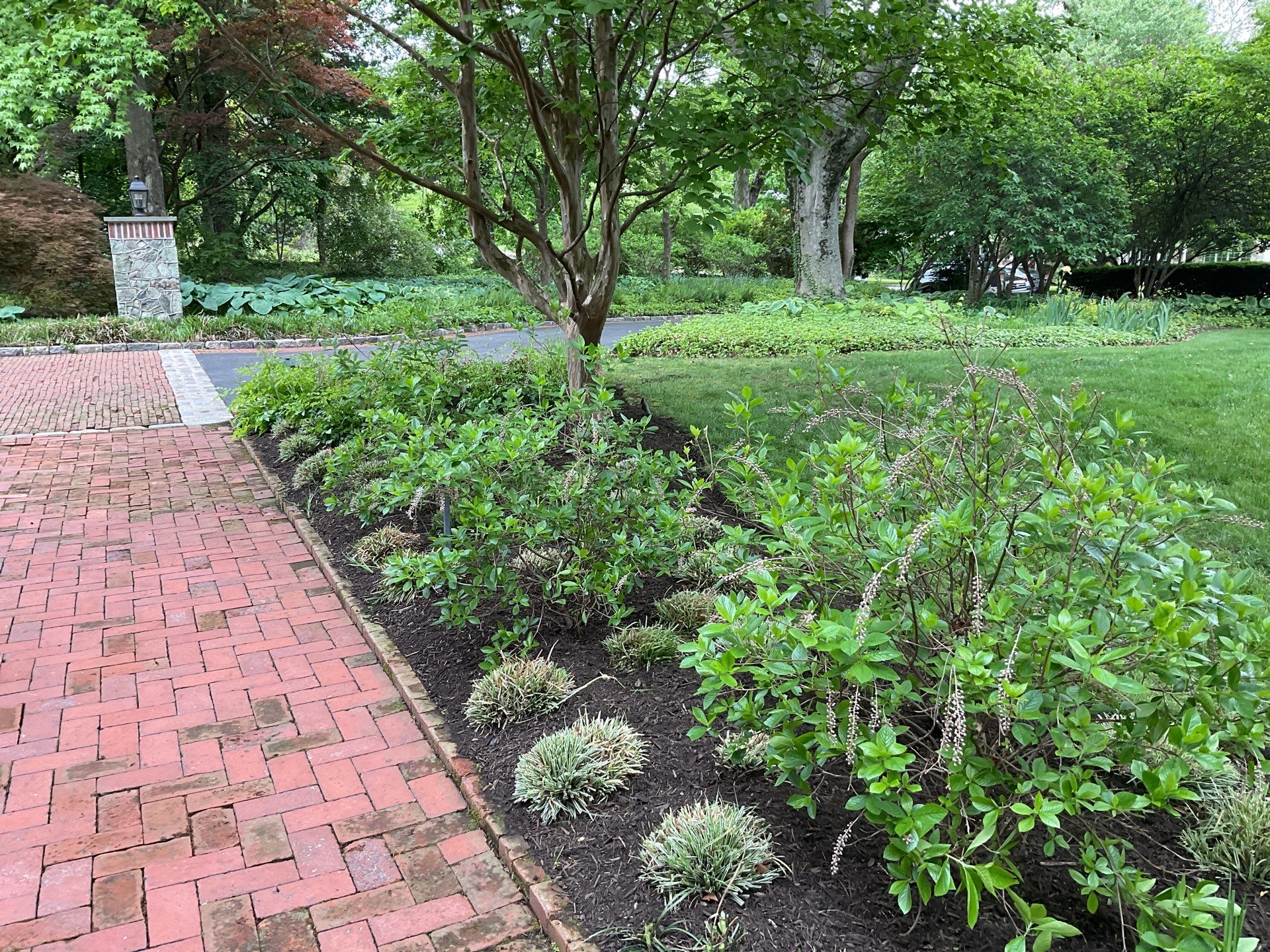 Landscape Maintenance