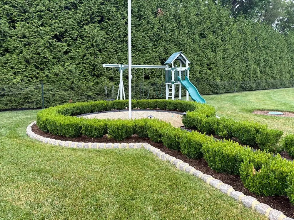 Boxwood hedge planted in a curve with stone edging around a play area