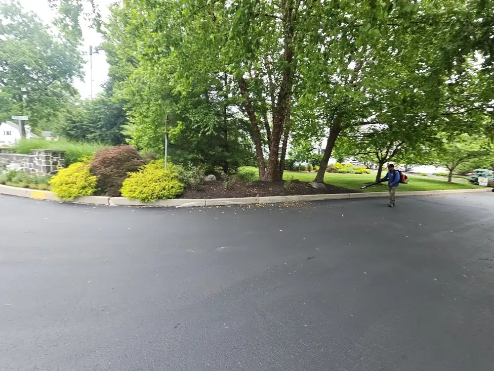 Established landscape with Japanese maples being cleaned up by a JHL crew member