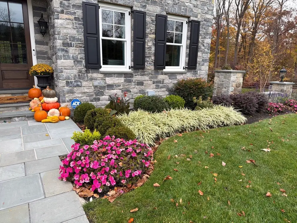 Fall foundation bed with mums, pumpkins and grasses at a stone home in West Chester, PA