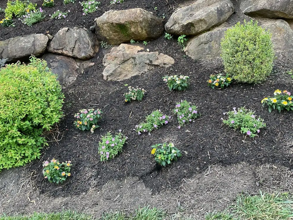 Perennials and annuals planted on a slope beside a stone retaining wall