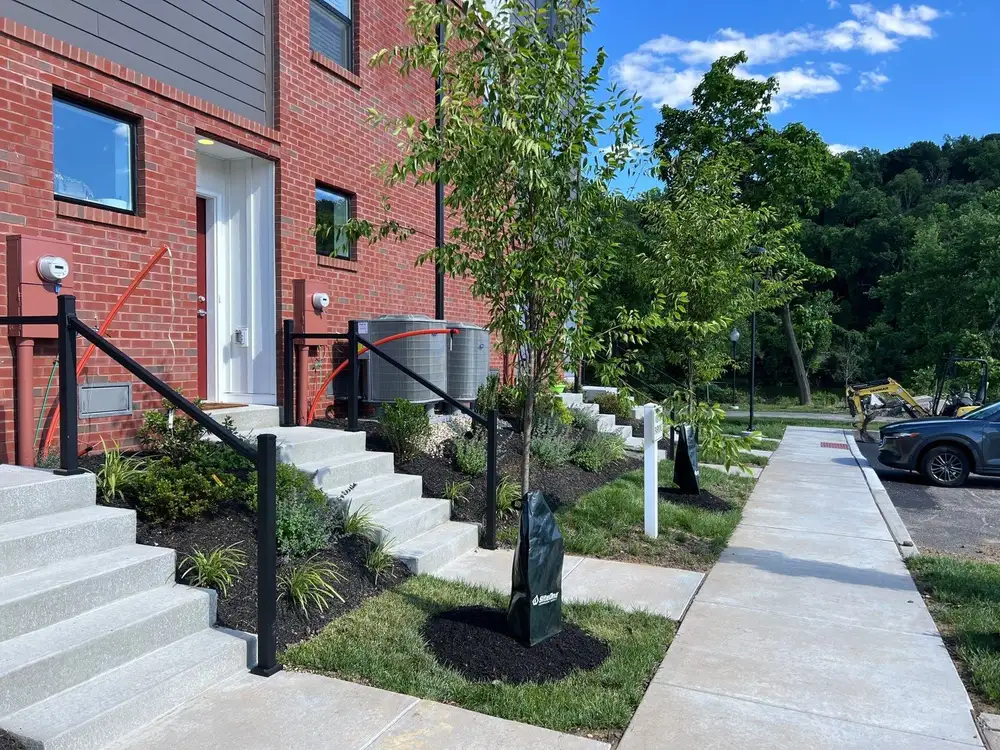 Newly planted ornamental tree with grasses at a West Chester, PA townhouse entrance